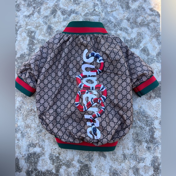 Gucci Dog Gucci Dog Jacket Poshmark